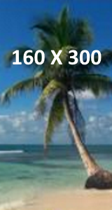 160 X 300 Ad